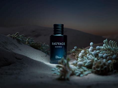 dior sauvage wallpaper hd|sauvage wallpaper desktop.